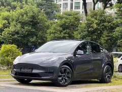 Tesla Model Y Rear-Wheel Drive - ფოტო 1