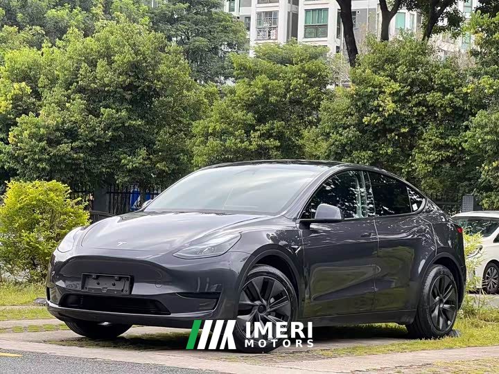Tesla Model Y Rear-Wheel Drive