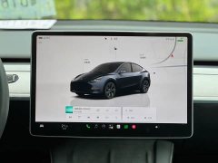 Tesla Model Y Rear-Wheel Drive - ფოტო 16
