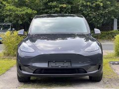 Tesla Model Y Rear-Wheel Drive - ფოტო 2