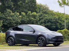 Tesla Model Y Rear-Wheel Drive - ფოტო 3