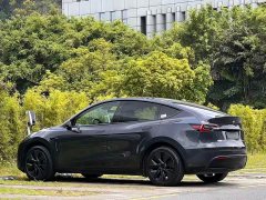 Tesla Model Y Rear-Wheel Drive - ფოტო 5