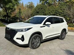Chery Tiggo 8 PRO 2022 290T Two-Wheel Drive Storm Edition 5-Seater - ფოტო 3