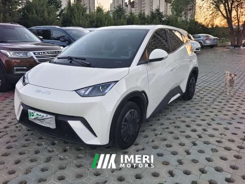 2023 BYD Seagull Vitality Edition - ავტომობილი ჩინეთიდან