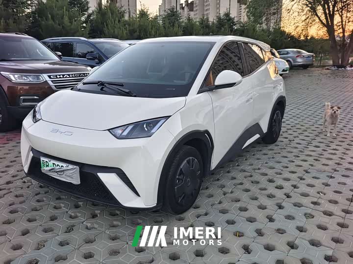 BYD Seagull Vitality Edition
