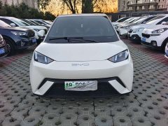 BYD Seagull Vitality Edition - ფოტო 2