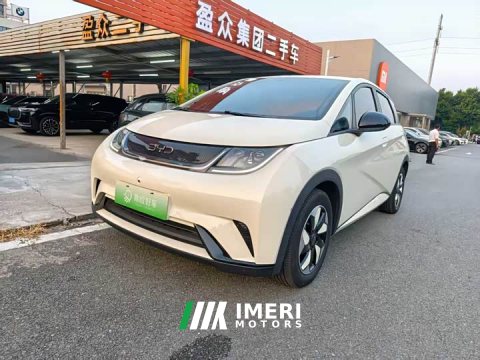 2024 BYD Dolphin Glory Edition 420km Freedom Version - ავტომობილი ჩინეთიდან