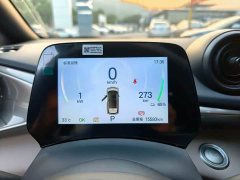 BYD Dolphin Glory Edition 420km Freedom Version - ფოტო 14