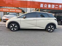BYD Dolphin Glory Edition 420km Freedom Version - ფოტო 4