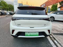 BYD Dolphin Glory Edition 420km Freedom Version - ფოტო 8