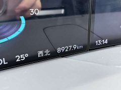 Lincoln Navigator 2.0T AWD Prestige - ფოტო 17