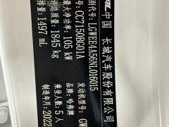 Haval Chitu 2022 Jinxiang Edition 1.5T Bronze Rabbit - ფოტო 18