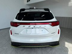 Haval Chitu 2022 Jinxiang Edition 1.5T Bronze Rabbit - ფოტო 5
