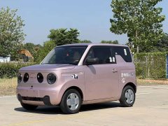 Geely Panda Mini 200km Endurance Edition - ფოტო 1