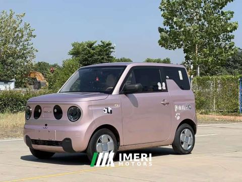 2023 Geely Panda Mini 200km Endurance Edition