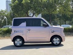 Geely Panda Mini 200km Endurance Edition - ფოტო 2