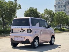 Geely Panda Mini 200km Endurance Edition - ფოტო 4