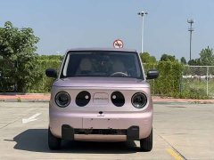 Geely Panda Mini 200km Endurance Edition - ფოტო 5