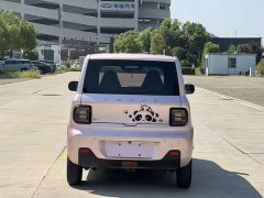 Geely Panda Mini 200km Endurance Edition - ფოტო 6