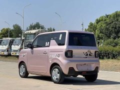 Geely Panda Mini 200km Endurance Edition - ფოტო 7