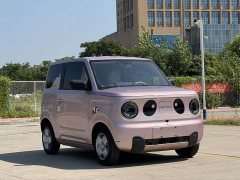 Geely Panda Mini 200km Endurance Edition - ფოტო 8
