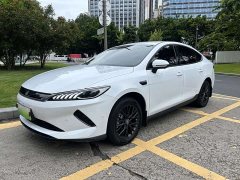 BYD Qin PLUS EV Smart Drive 420KM Leading Edition - ფოტო 1