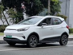 BYD Yuan Pro 2021 401KM Deluxe - ფოტო 1