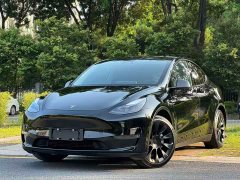 Tesla Model Y Standard Range RWD - ფოტო 1