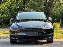 Tesla Model Y Standard Range RWD - ფოტო 2