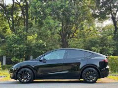 Tesla Model Y Standard Range RWD - ფოტო 3