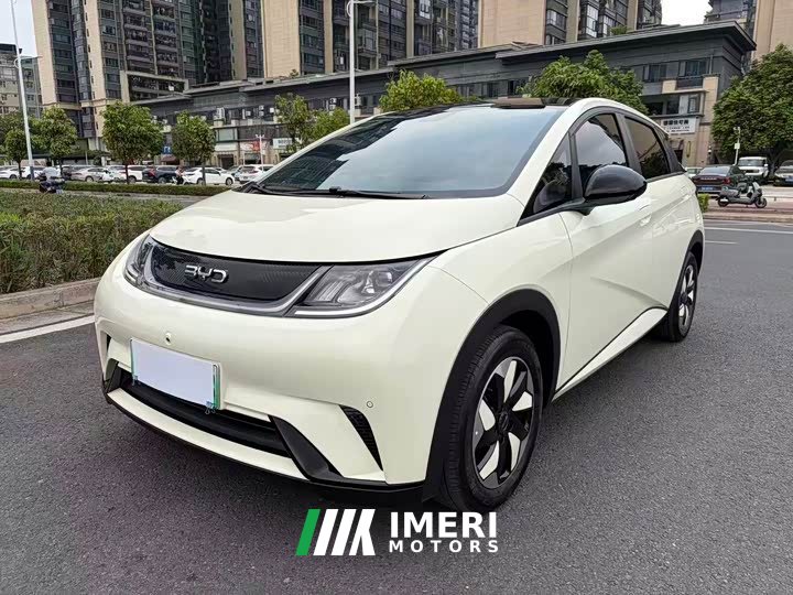 BYD Dolphin Glory Edition 420km Fashion Version - ავტომობილი ჩინეთიდან