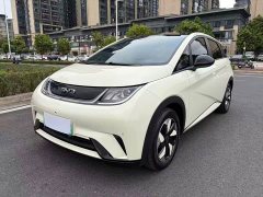 BYD Dolphin Glory Edition 420km Fashion Version - ფოტო 1