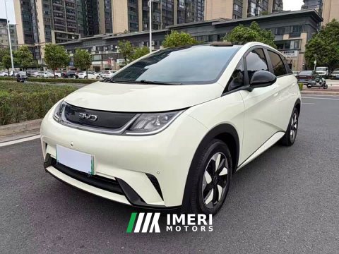 2024 BYD Dolphin Glory Edition 420km Fashion Version - ავტომობილი ჩინეთიდან