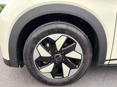 BYD Dolphin Glory Edition 420km Fashion Version - ფოტო 15