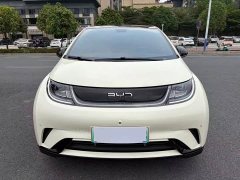 BYD Dolphin Glory Edition 420km Fashion Version - ფოტო 2
