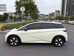 BYD Dolphin Glory Edition 420km Fashion Version - ფოტო 3