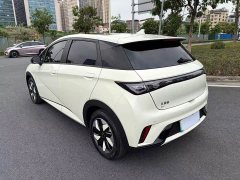BYD Dolphin Glory Edition 420km Fashion Version - ფოტო 4