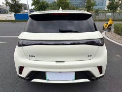 BYD Dolphin Glory Edition 420km Fashion Version - ფოტო 5