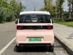 BMW Hongguang MINIEV Macaron Premium Edition LFP - ფოტო 7