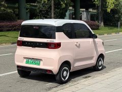 BMW Hongguang MINIEV Macaron Premium Edition LFP - ფოტო 8