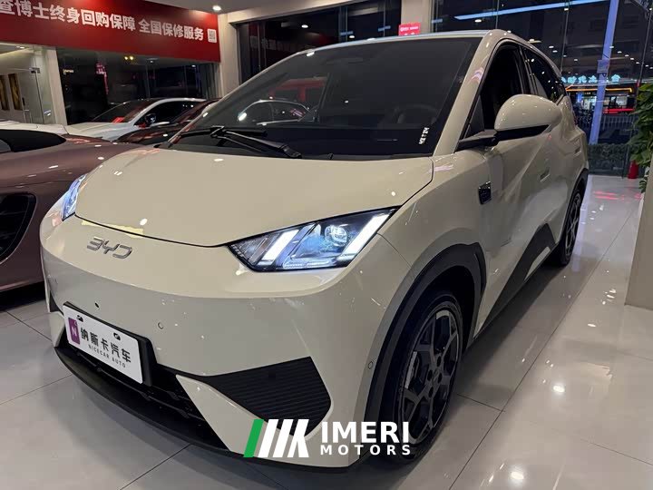 BYD Seagull Smart Driving Edition 305km Freedom Edition