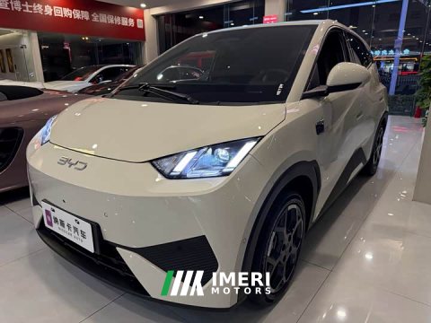 2025 BYD Seagull Smart Driving Edition 305km Freedom Edition - ავტომობილი ჩინეთიდან
