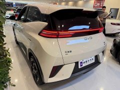 BYD Seagull Smart Driving Edition 305km Freedom Edition - ფოტო 6