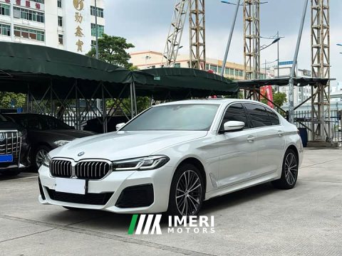 2023 BMW 5 Series 530Li Premier M Sport Package - ავტომობილი ჩინეთიდან