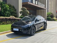 Tesla Model Y 2023 Rear-Wheel Drive - ფოტო 1