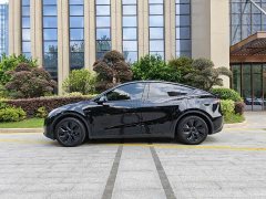 Tesla Model Y 2023 Rear-Wheel Drive - ფოტო 4