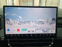 Jetour Jietu Shanhai L9 2025 1.5TD 2DHT Luxury 7-Seater - ფოტო 13