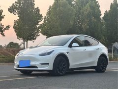 Tesla Model Y Long Range All-Wheel Drive - ფოტო 1