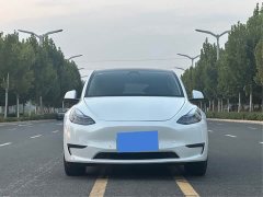 Tesla Model Y Long Range All-Wheel Drive - ფოტო 2