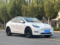Tesla Model Y Long Range All-Wheel Drive - ფოტო 3